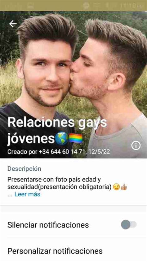 contactos gay whatsapp|Grupos de WhatsApp Gay: Encuentra Amigos y Amor.